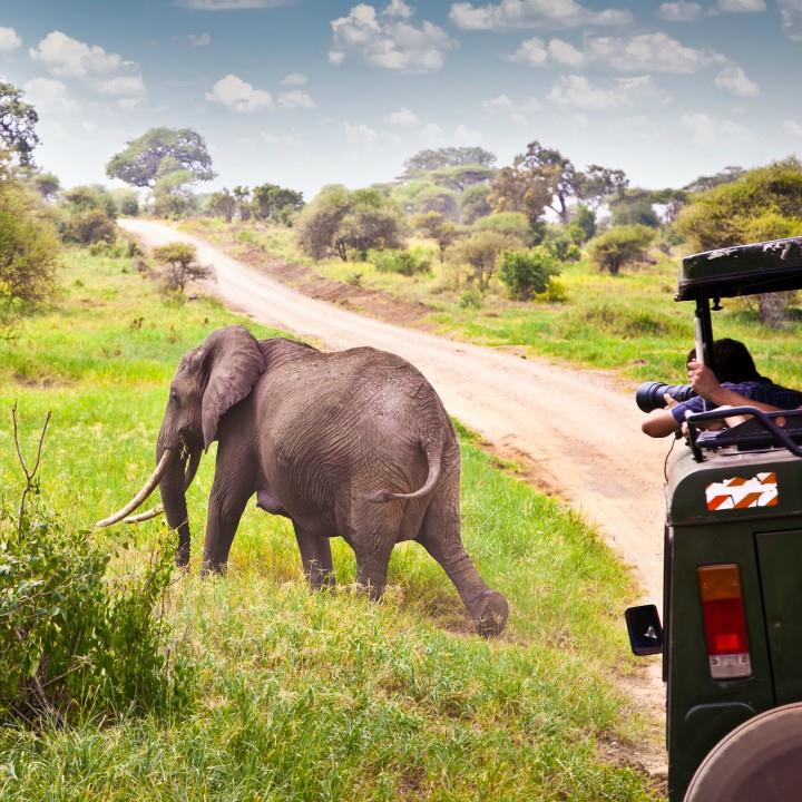 Wielka Migracja Afryki - Tanzania i Kenia