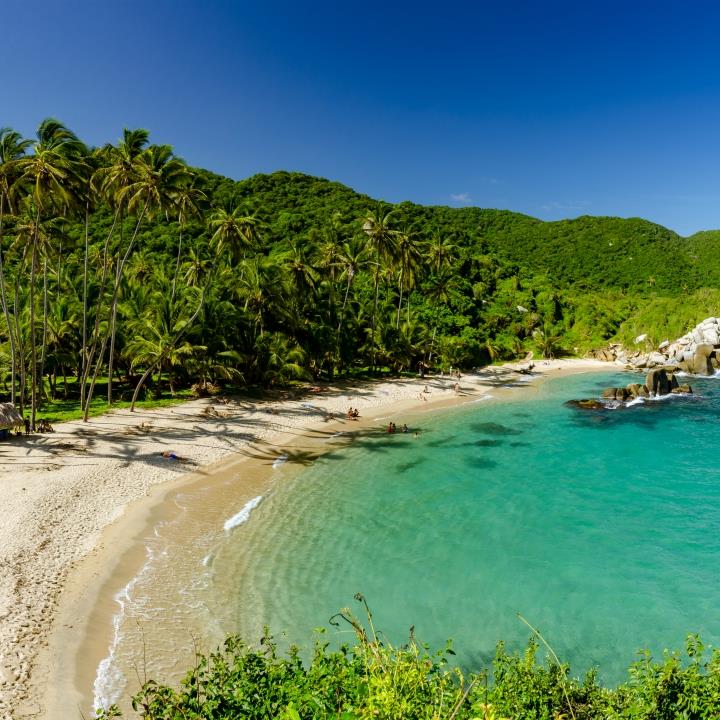 Dżungle i plaże Parku Tayrona